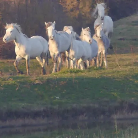 Bilocale Vista Mare * Lido di Spina
