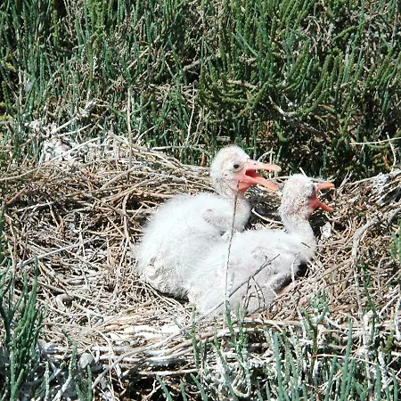 Σπίτι διακοπών Bilocale Vista Mare Lido di Spina