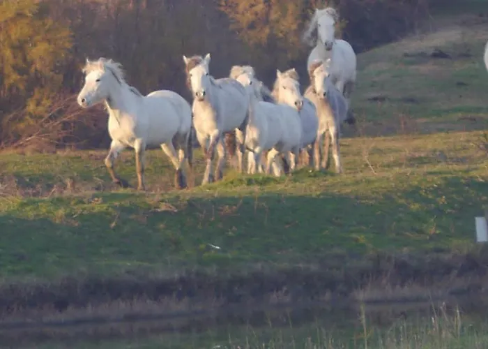 Bilocale Vista Mare * Lido di Spina