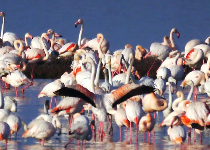 Bilocale Vista Mare Lido di Spina